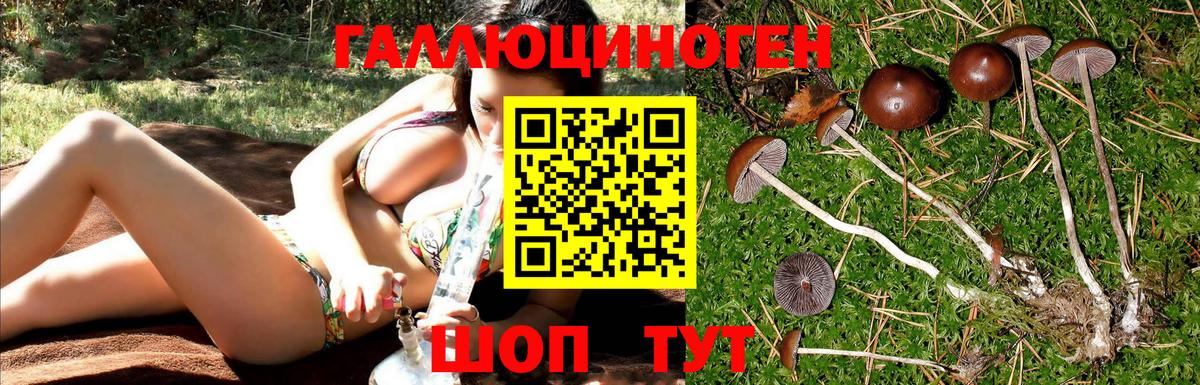 Псилоцибиновые грибы мицелий  Вход с VPN  Беслан 