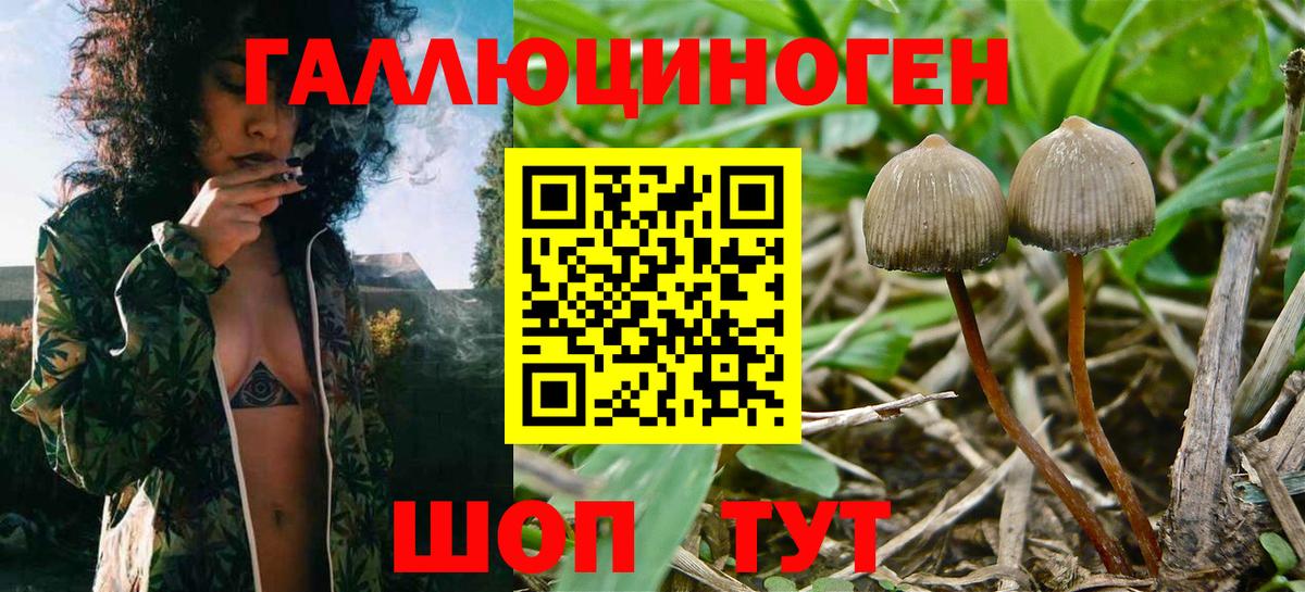 Галлюциногенные грибы GOLDEN TEACHER Беслан